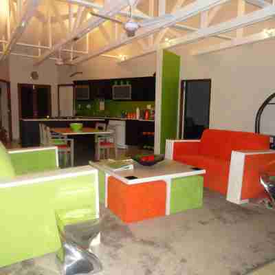 Bushwillow Collection Others