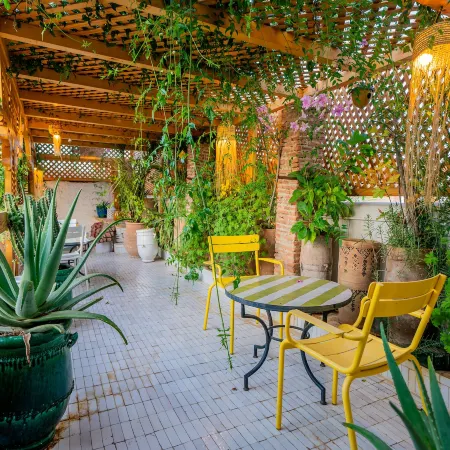 Riad Tibibt