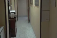 Gatto Bianco Picone 19