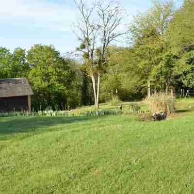 Villa du Cerf Thibault Hotel Exterior
