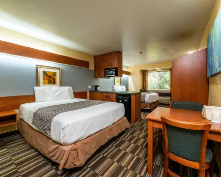 奧卡拉麥客達套房酒店 奧卡拉酒店