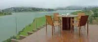 Tea Plant Nuwara Eliya