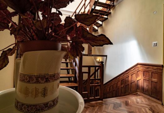 마이 게스트 룸 루프탑