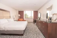Hilton Palm Beach Pbi Hotels in West Palm Beach