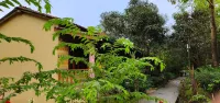 Rhino Land Jungle Lodge Hotels in Sauraha