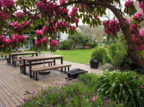 Dunedin Leisure Lodge - Distinction