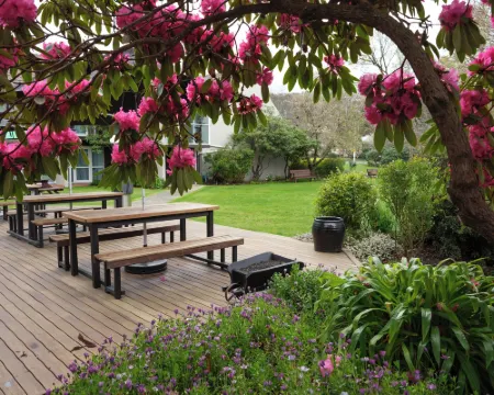 ดันอีดิน เลเชอร์ ลอดจ์ - โรงแรมดิสตินก์ชัน โรงแรมในดันเนดิน