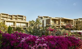 Chileno Bay Resort & Residences, Auberge Resorts Collection