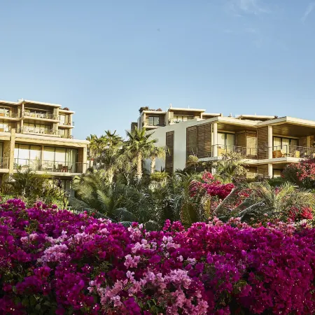 Chileno Bay Resort & Residences, Auberge Collection