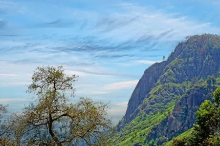 Nature Mount Pavilion Ella