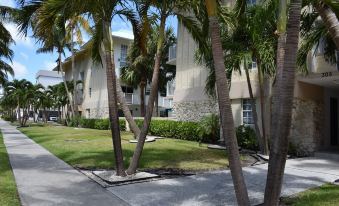 Coral Reef at Key Biscayne