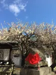 Tsubame-ya Hotels near JR Hozukyo Station