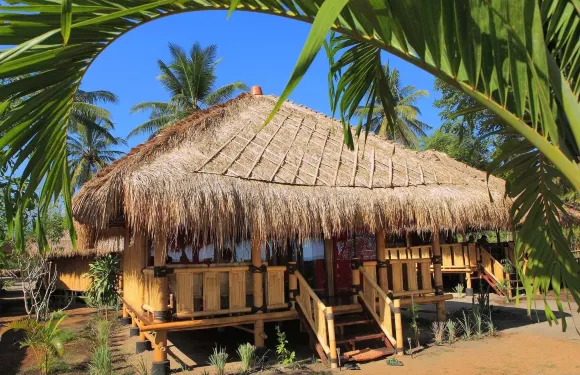 林加尼海灘生態度假村