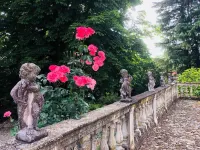 Charme of Villa Capannina - Wifi