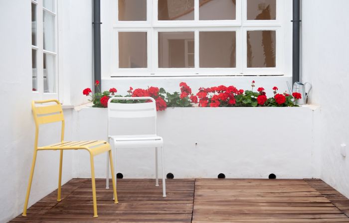 Miguel Torga Vintage Lofts