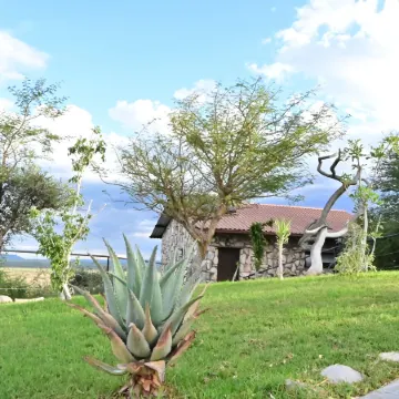 Aloegrove Safari Lodge