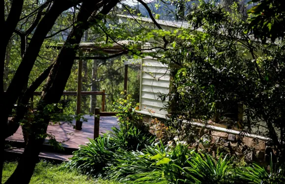 金鳳花山峯旅館