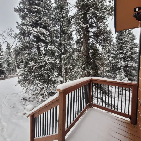 Denali Wild Stay