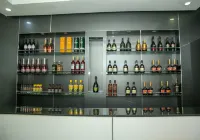 PoshLux Executive Hotel - Bares