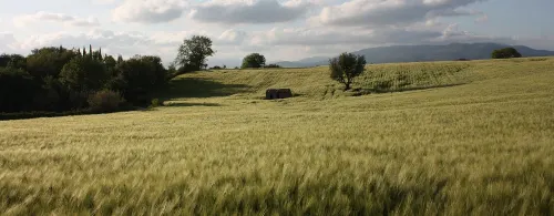 Poggio del Castagno Hotels in Pitigliano