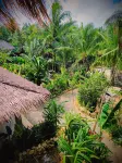 The Ohm Siargao