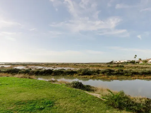 奇克拉納的阿帕塔俱樂部14116