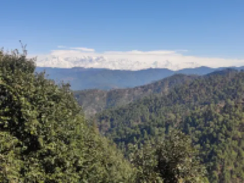 Oakakhi Stays, Private Room