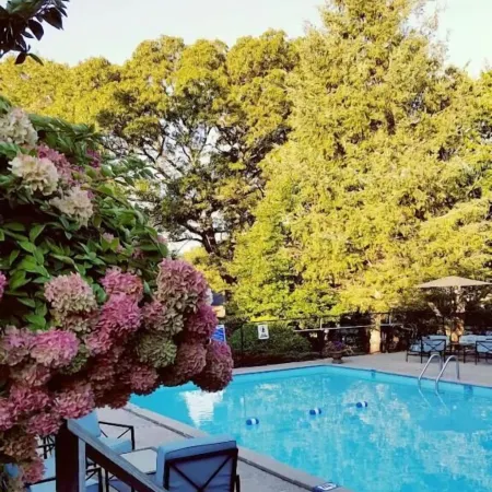 Starlight Lodge Cape Cod