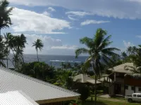 Fiji Lodge Vosa Ni Ua - Havudsigt