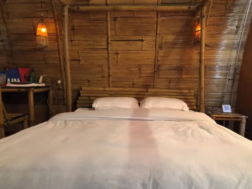 Nepal Himalayan Paulownia Resort Hotels in Meghauli