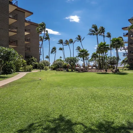 Modern and Relaxing Oceanfront Vistas