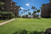 Modern and Relaxing Oceanfront Vistas
