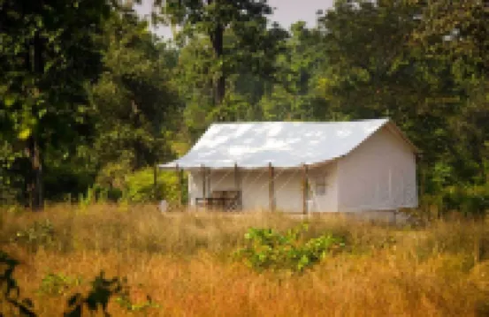 Umaria Safari Camp -Kanha National Park