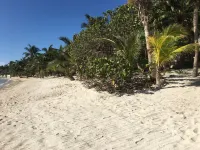 Casa De Las Conchas Luxury Beach Front Villa