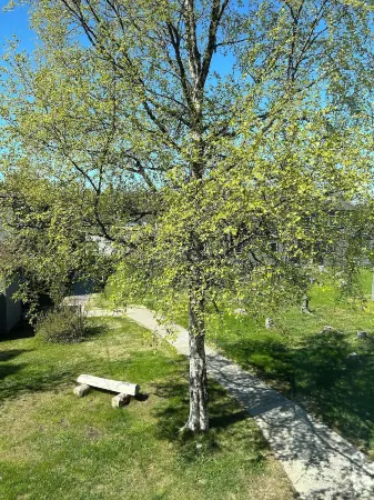 Apartment in the Heart of Kenai Just 1.2 Miles from the Mouth of the Kenai River Отели в г. Кенай