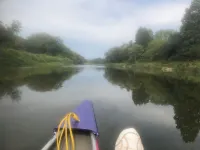 Large Private Fenced Yard with Guest Patio, Fire Pit and Surrounding Gardens.