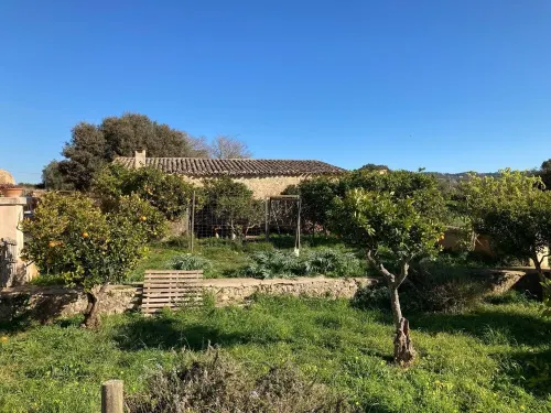 Historic finca in the vineyard near Felanitx 8-10 pers. Pool sauna heating
