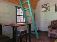 Gavin Cabin