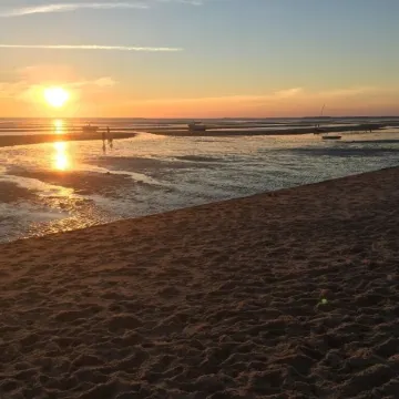 Experience Cape Cod Beaches: Charming 4-bedroom just a 10min stroll to the beach