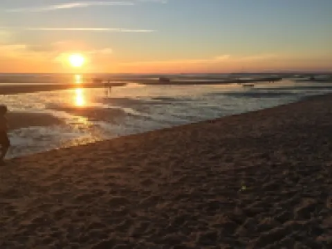 Experience Cape Cod Beaches: Charming 4-bedroom just a 10min stroll to the beach