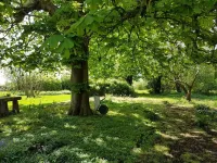 Spacious holiday apartment in a thatched country house - including underfloor heating
