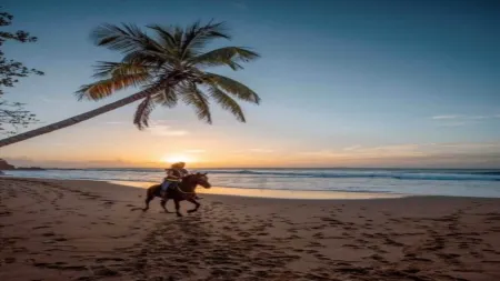 Rincón apartment by the sea, luxury get away