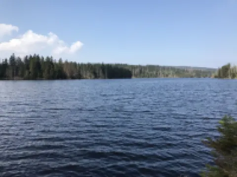 Harz vacation in the apartment Koch 3