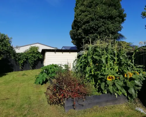 Well equipped, thoughtfully prepared and walking distance to town. Hotels in Motueka