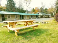 Black Bear Lodge Hotels in Fleischmanns