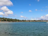 Rhedyn Llanbedrog otelleri