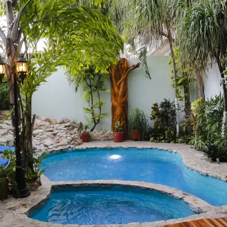 Hotel Careyes Puerto Escondido Отели рядом с достопримечательностью «Пляж Каррисалильо»