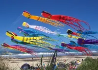 Salmonberry Inn & Beach House - Homestays