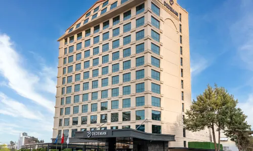Dedeman Adana