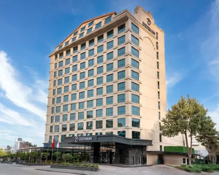 デデマン アダナ アダナのホテル